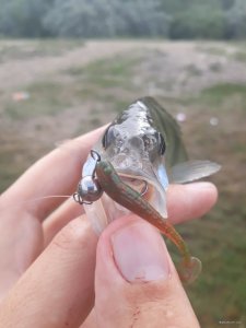20180715_082044.jpg