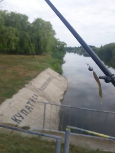 20180715_084435.jpg