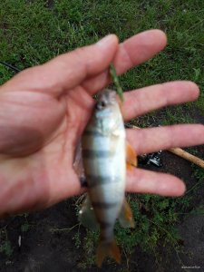 20180718_131554.jpg