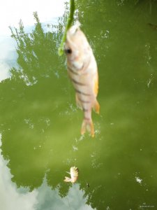 20180718_150706.jpg