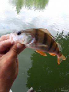 20180718_152054.jpg
