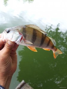 20180718_152059.jpg