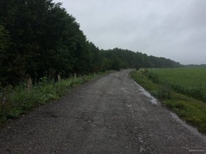 IMG_2557.JPG