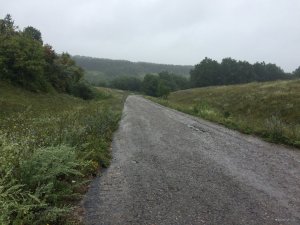 IMG_2594.JPG