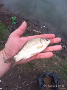 IMG_20180719_173818.jpg