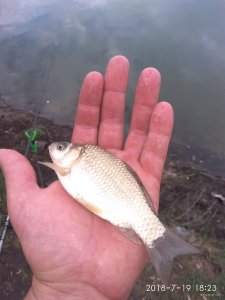 IMG_20180719_182400.jpg