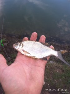 IMG_20180719_185127.jpg