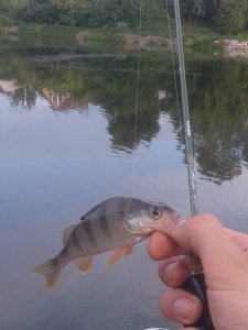 20180720_191827.jpg
