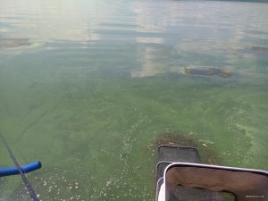 IMG_20180721_114825794.jpg