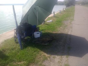IMG_20180721_150429516.jpg