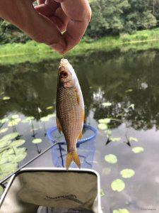 918966E1-21B3-4746-83DF-274F20B37882.jpeg