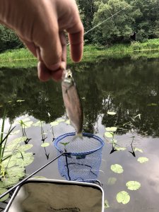 AF77B997-6A4E-403A-B61E-C65BC863F5FA.jpeg
