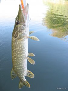 IMG_3626.JPG