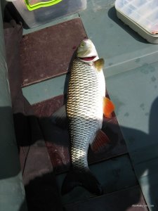 IMG_3649.JPG