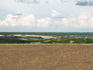 IMG_20180722_172808.jpg