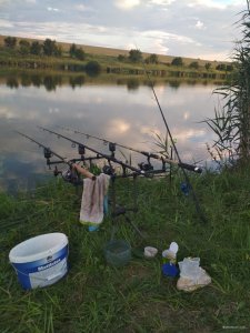 IMG_20180722_194107.jpg