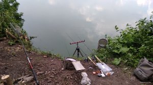 IMG_20180724_131717.jpg