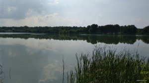 IMG_20180724_153822.jpg