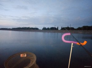 P80723-041959.jpg