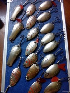 IMG_20180623_114442.jpg
