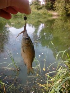IMG_20180727_145437.jpg