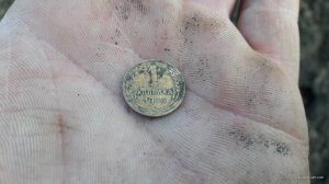 68809.jpg