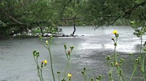 vlcsnap-2018-07-29-14h11m11s79.jpg