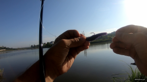 vlcsnap-2018-07-30-09h34m53s156.png