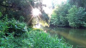 vlcsnap-2018-08-01-20h57m22s125.jpg