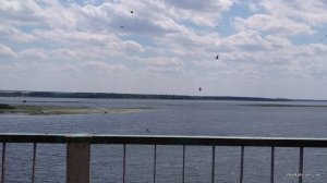 IMG_20180704_134229.jpg