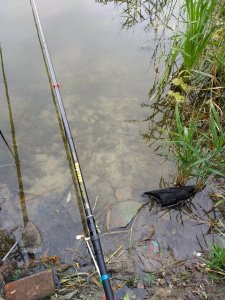 IMG_20180728_174455744.jpg