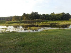 20180730_191641.jpg