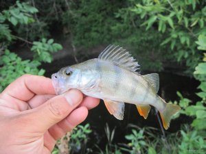 IMG_8903.JPG