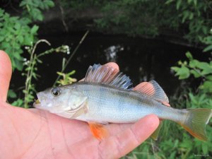 IMG_8905.JPG