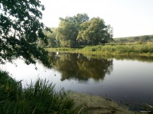 IMG_20180804_071227.jpg