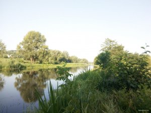 IMG_20180804_071234.jpg