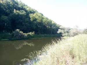 IMG_20180804_093639.jpg