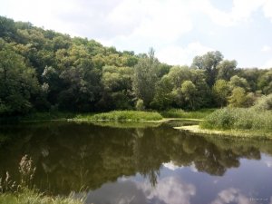 IMG_20180804_111622.jpg