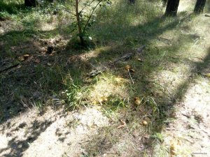 IMG_20180804_141314.jpg