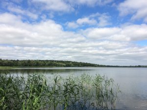 IMG_0733[1].JPG