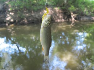 IMG_8913.JPG