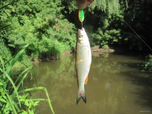 IMG_8922.JPG