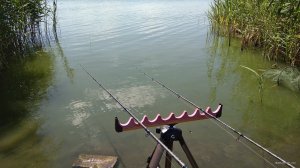 IMG_20180809_120622.jpg