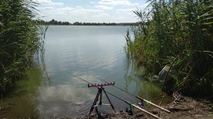 IMG_20180809_134329.jpg