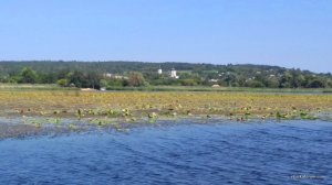 IMG_20180804_102757.jpg