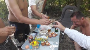 20180810_144952.jpg