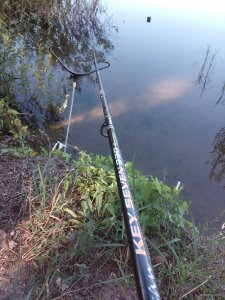 IMG_20180810_084934.jpg