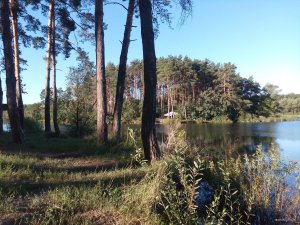 IMG_20180810_070942.jpg