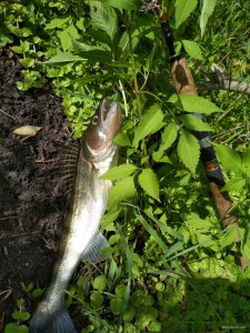 IMG_20180730_110419.jpg