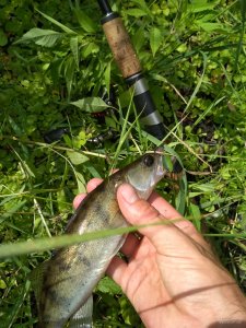 IMG_20180730_114051.jpg